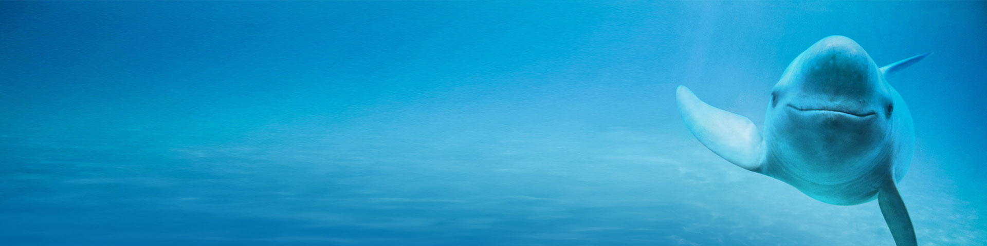 通知公告